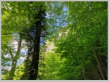 Slika_177.webp