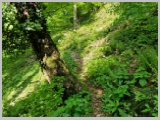 Slika_178.webp