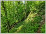Slika_179.webp