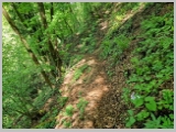 Slika_182.webp