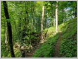 Slika_184.webp
