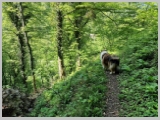 Slika_188.webp