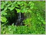 Slika_008.webp