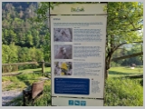 Slika_010.webp