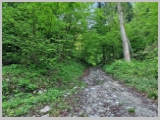 Slika_015.webp