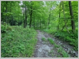 Slika_017.webp