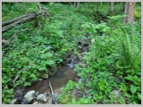 Slika_018.webp