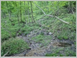 Slika_021.webp