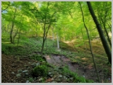 Slika_025.webp