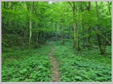 Slika_026.webp