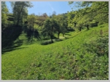 Slika_034.webp