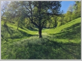 Slika_035.webp