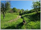 Slika_038.webp