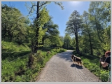 Slika_043.webp