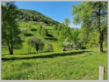 Slika_044.webp