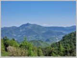 Slika_049.webp