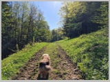 Slika_051.webp
