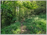 Slika_052.webp