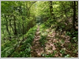Slika_054.webp