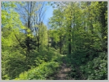 Slika_055.webp