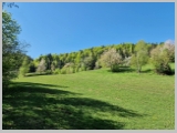 Slika_060.webp
