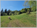 Slika_061.webp