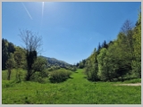 Slika_065.webp