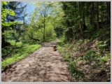 Slika_070.webp