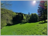 Slika_072.webp