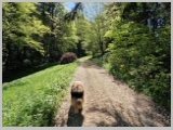 Slika_073.webp