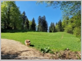 Slika_075.webp