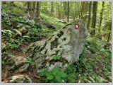 Slika_077.webp