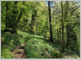 Slika_079.webp