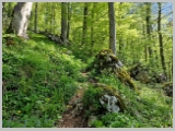 Slika_081.webp