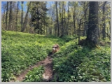 Slika_087.webp