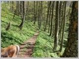 Slika_088.webp
