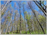 Slika_090.webp