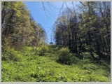 Slika_091.webp