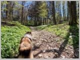 Slika_093.webp