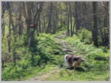 Slika_098.webp