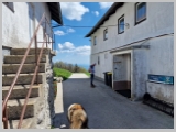 Slika_109.webp