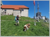Slika_110.webp