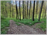 Slika_117.webp