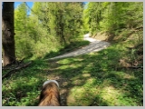 Slika_130.webp