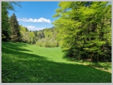 Slika_132.webp