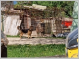 Slika_143.webp
