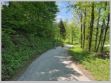 Slika_144.webp