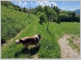Slika_149.webp
