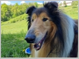 Slika_151.webp
