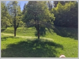 Slika_153.webp